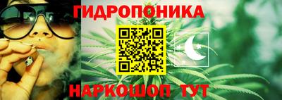 кокс Анапа