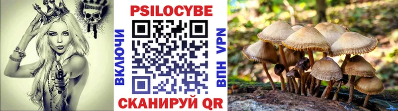 Галлюциногенные грибы Psilocybe  Копейск 