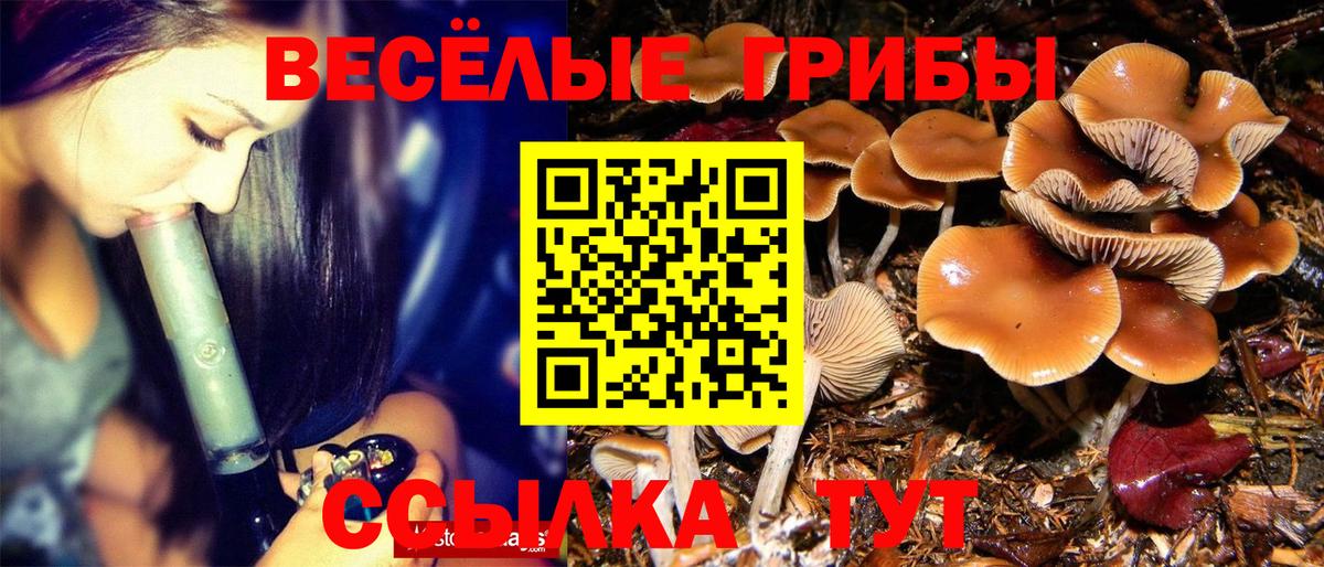 Галлюциногенные грибы Cubensis Копейск